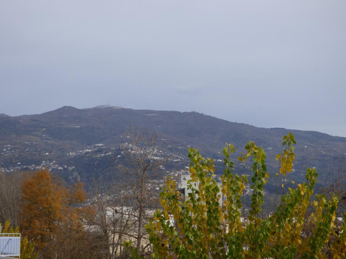 Old City View Apartment Volos Esterno foto
